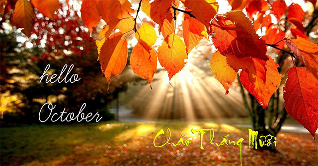Ảnh chào tháng 10