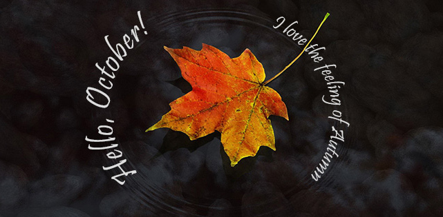 Hình ảnh tháng 10 đẹp nhất