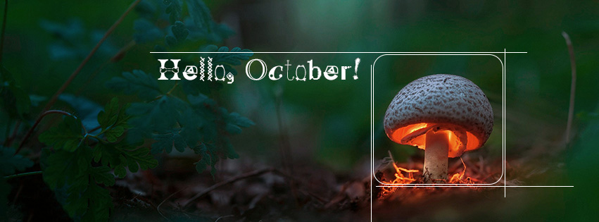 Stt chào tháng 10 Stt chào tháng 10