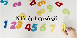 N là tập hợp số gì? Tính chất và ví dụ tập số N