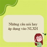 Những câu nói hay áp dụng vào NLXH giúp tạo ấn tượng