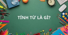 Tính từ là gì? Vị trí, phân loại và ví dụ về tình từ