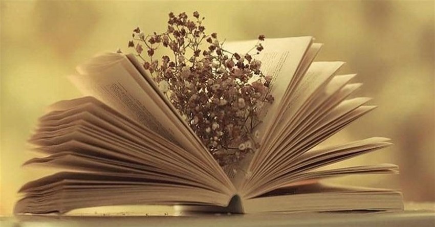 Tự sự là gì? Tác dụng và đặc điểm của văn bản tự sự