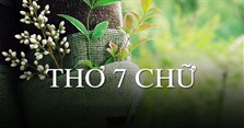 Chùm thơ 7 chữ ngắn mà hay, giàu cảm xúc