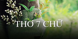 Chùm thơ 7 chữ ngắn mà hay, giàu cảm xúc