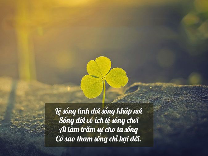 Thơ 7 chữ nhiều chủ đề