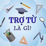 Trợ từ là gì? Ví dụ, tác dụng và các trợ từ trong Tiếng Việt