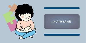 Trợ từ là gì? Ví dụ, tác dụng và các trợ từ trong Tiếng Việt