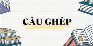 Câu ghép là gì? Cách nối các vế câu ghép và ví dụ