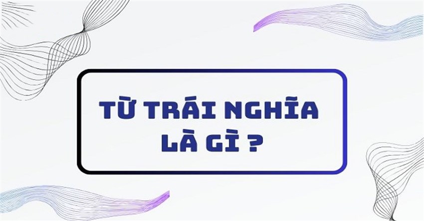 Từ trái nghĩa là gì? Tác dụng và ví dụ về từ trái nghĩa